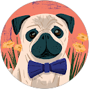 Marilyn Monrroy profile picture